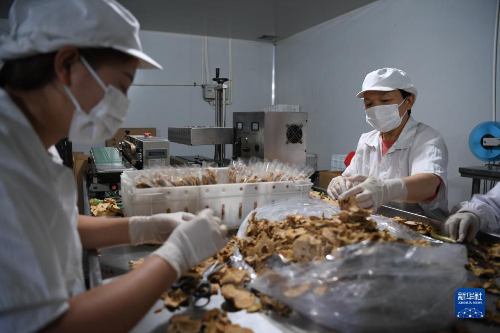 易盛娱乐靠谱吗